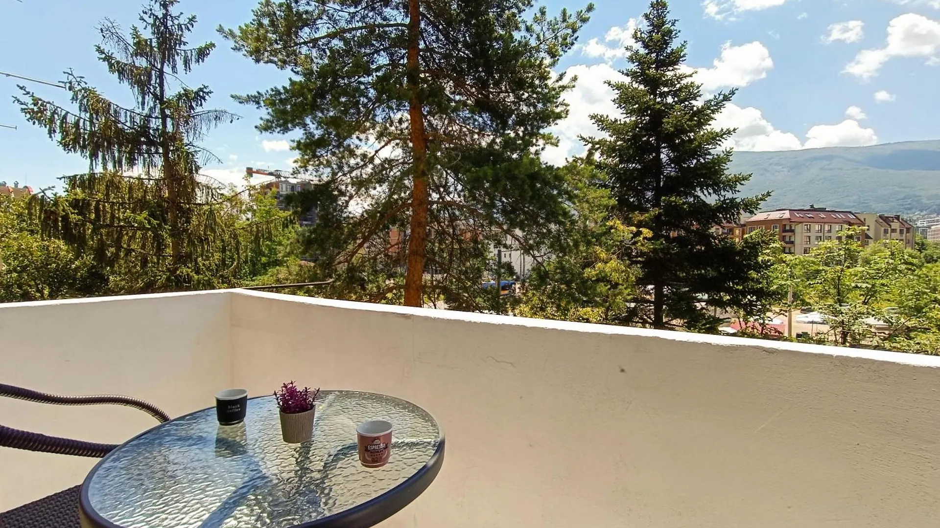 Vitosha Apartment Sofia Bulgaria